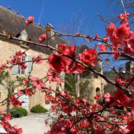 Bed and Breakfast La Tour De Cause Castelnaud-la-Chapelle Exterior foto
