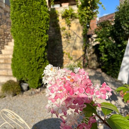 Bed and Breakfast La Tour De Cause Castelnaud-la-Chapelle Exterior foto