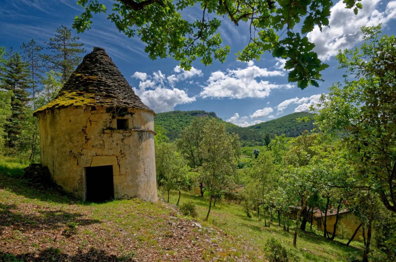Bed and Breakfast La Tour De Cause Castelnaud-la-Chapelle Exterior foto