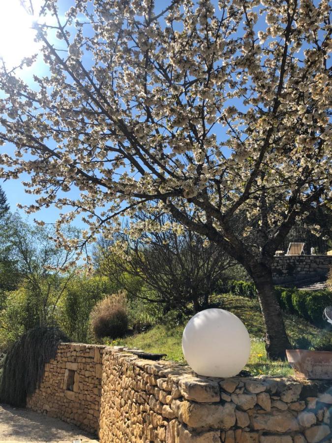 Bed and Breakfast La Tour De Cause Castelnaud-la-Chapelle Exterior foto