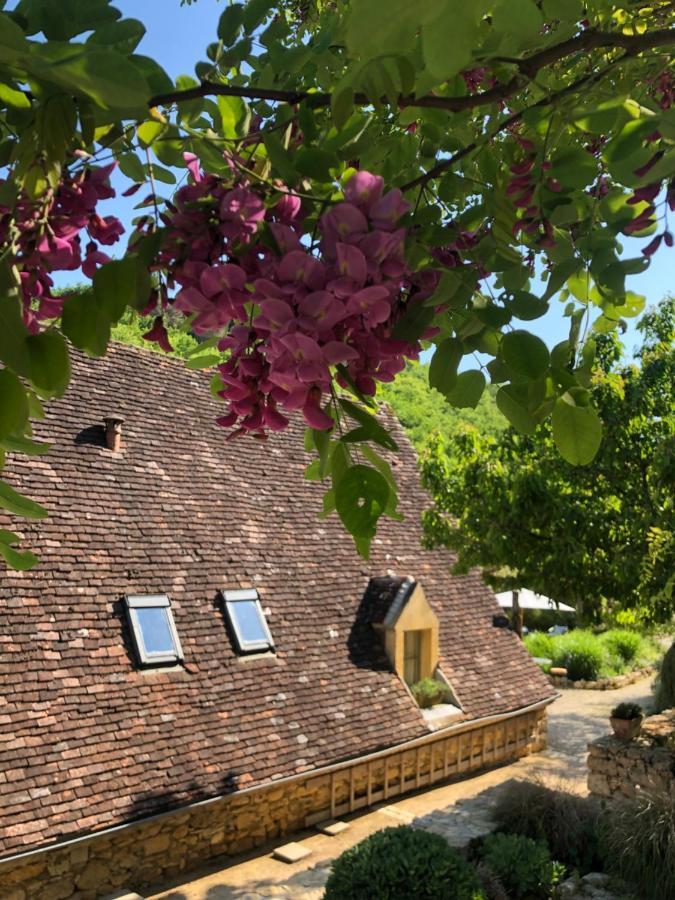 Bed and Breakfast La Tour De Cause Castelnaud-la-Chapelle Exterior foto