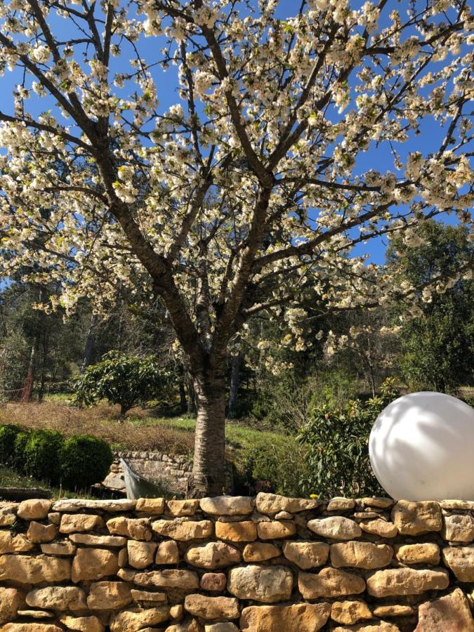 Bed and Breakfast La Tour De Cause Castelnaud-la-Chapelle Exterior foto