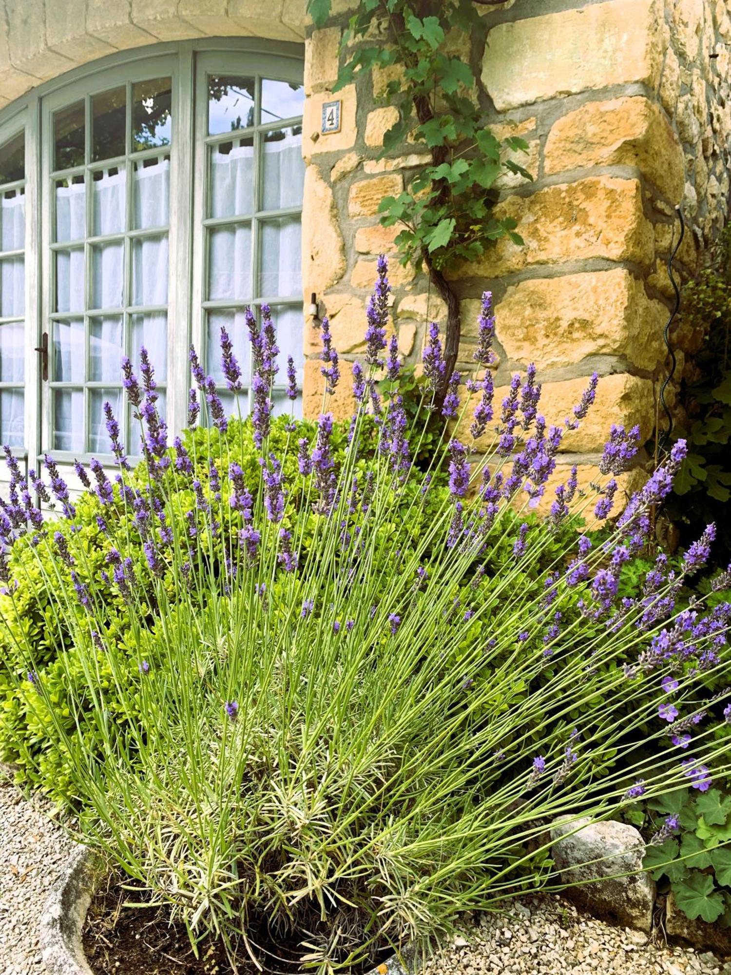 Bed and Breakfast La Tour De Cause Castelnaud-la-Chapelle Exterior foto
