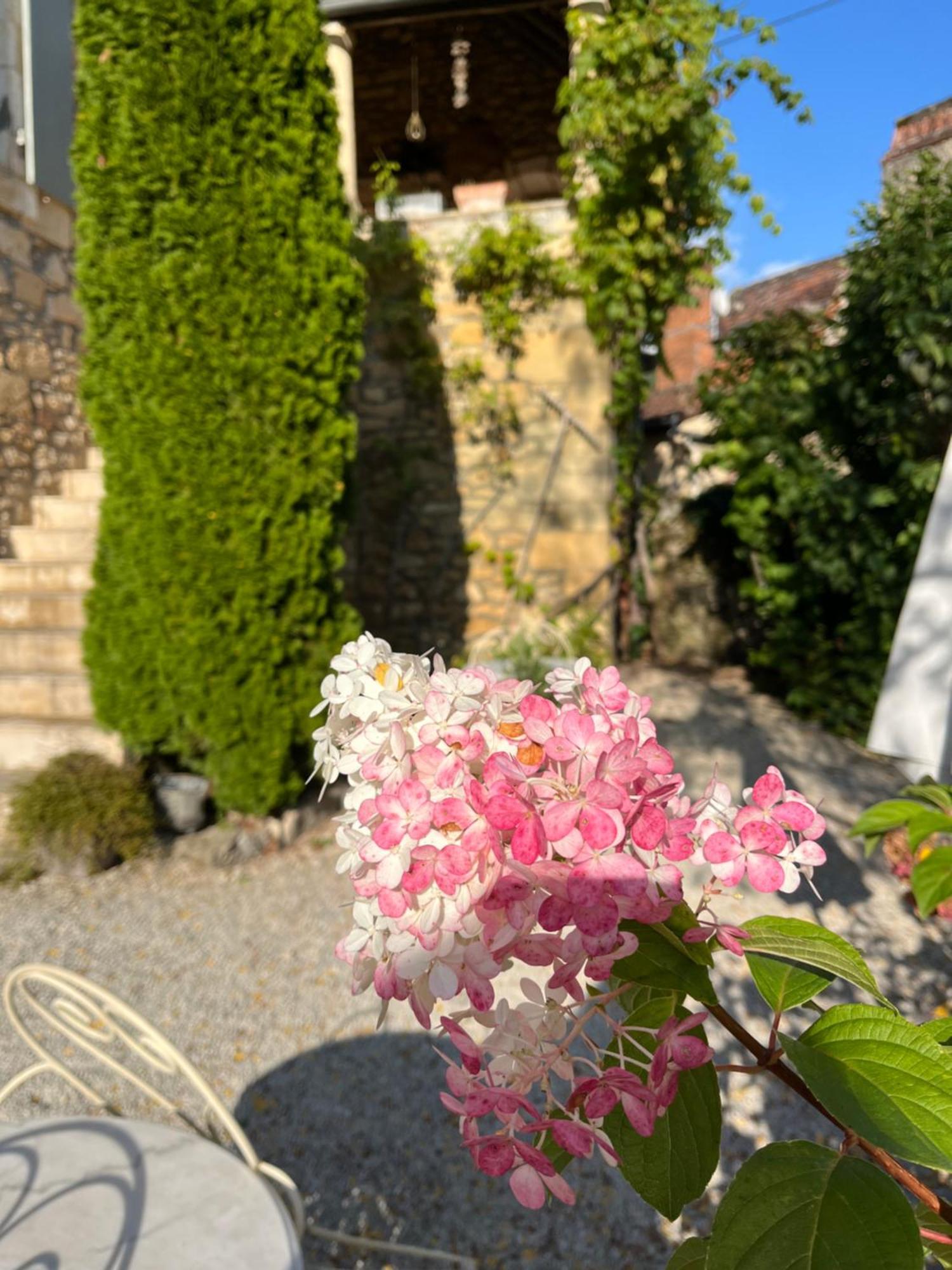 Bed and Breakfast La Tour De Cause Castelnaud-la-Chapelle Exterior foto