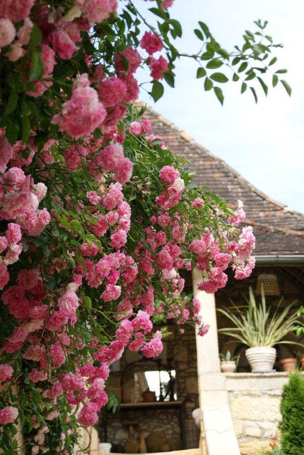 Bed and Breakfast La Tour De Cause Castelnaud-la-Chapelle Exterior foto